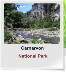 Carnarvon  National Park