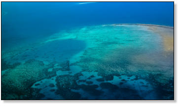 Great Barrier Reef - von oben