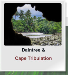 Daintree & Cape Tribulation